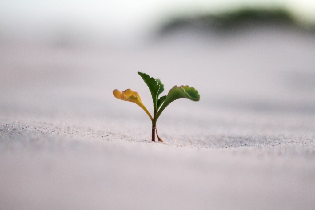 Finding Light in Despair: A Spiritual&nbsp;Journey